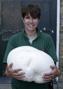 giant puffball