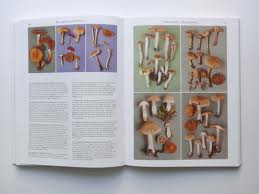 Roger Phillips-Mushrooms - Open Book