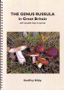 Russula - Geoffrey
