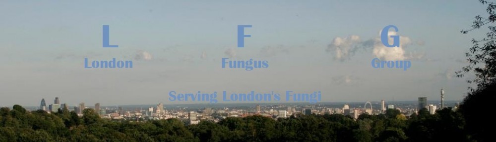London Fungus Group